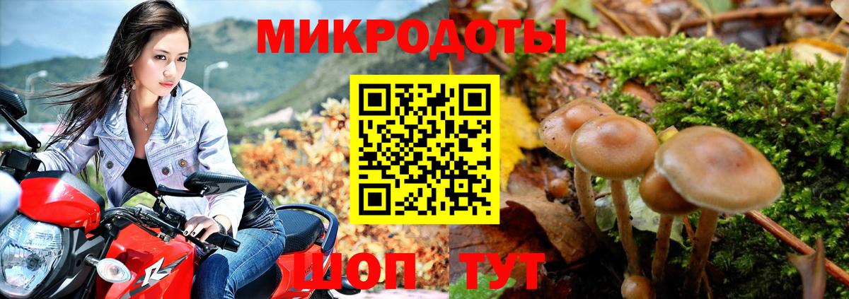 Галлюциногенные грибы MAGIC MUSHROOMS Сочи