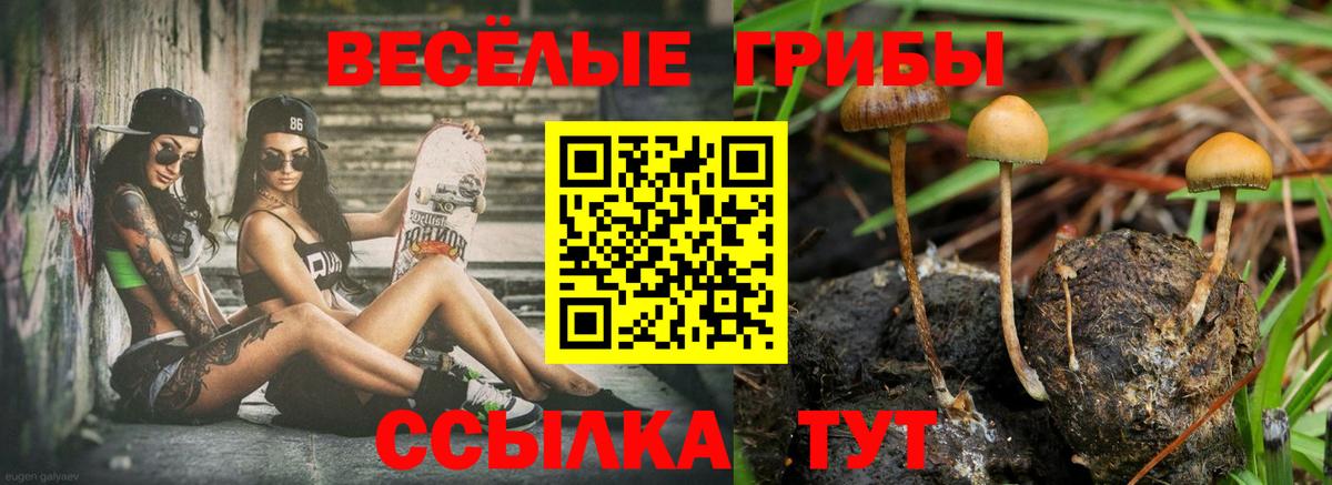 Галлюциногенные грибы GOLDEN TEACHER  Вход с VPN  Сочи 